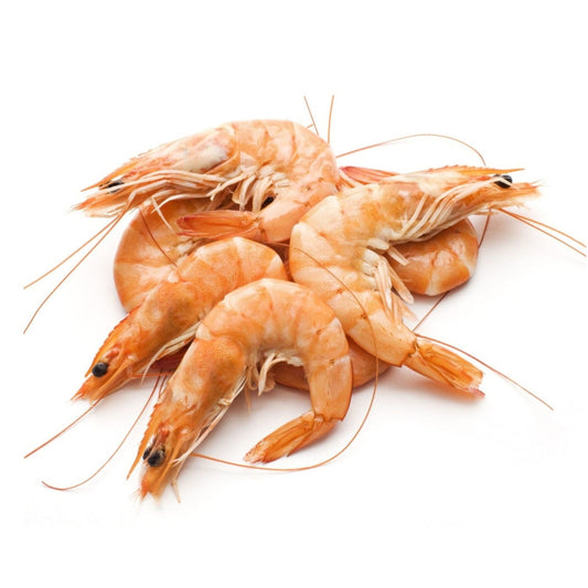 Prince Prawns