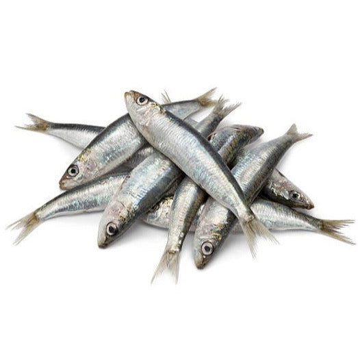 Sardines - 500g