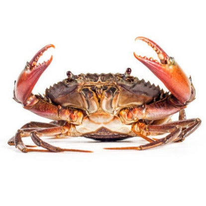 Crabs - 500g
