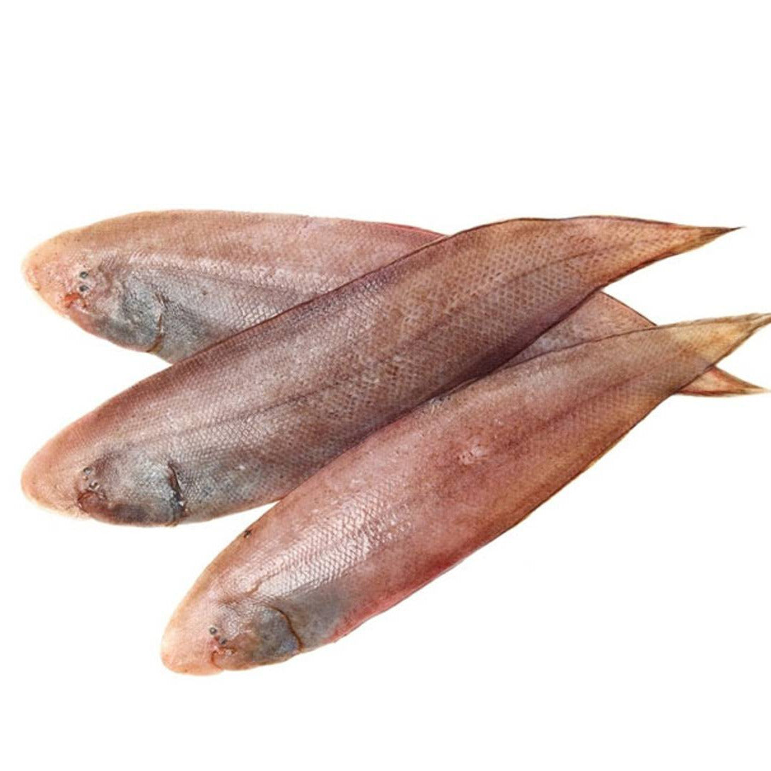 Solefish - 500g